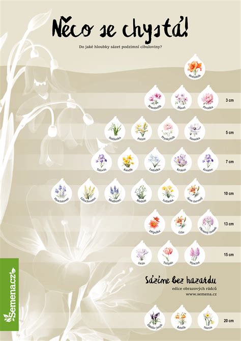 Hazarsu Halı ve Koltuk Yıkama