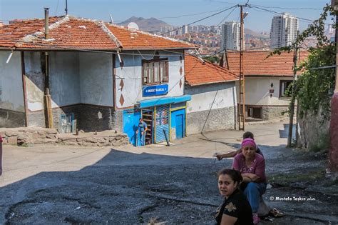 veodersti.rgarabwor.edu.pl. 