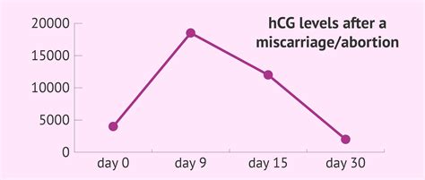 Hcg levels after a miscarriage. How the miscarriage occurred, such as spontaneous miscarriage or medical procedure, can also affect how fast hCG levels decrease. In general, hCG levels return to normal by 4 to 6 weeks after a miscarriage, but they may occur sooner during the very early stages of pregnancy. Placental Causes of High hCG. After a miscarriage, hCG levels can ... 