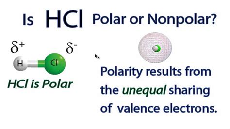 Hcl Polar Or Nonpolar - BRAINGITH