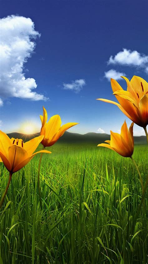 Hd wallpapers for android mobile free download. .  ...