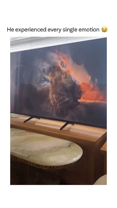 He is an experienced