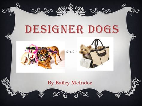He is known as a designer dog, which are the offspring of two purebreds