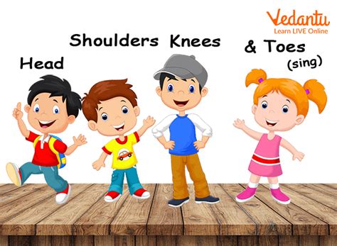 Head 2 Toe Kids & Family Health - 55 Kirby St, Rydalmere NSW …