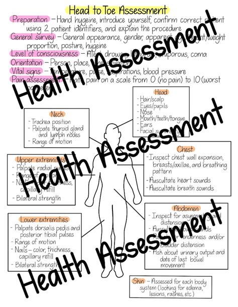 Head to toe assessment. Things To Know About Head to toe assessment. 