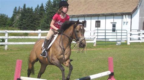 Headshaking Syndrome – One owner’s story - Horse Sport