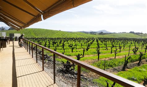 Healdsburg ca wineries. Nearby wineries include Wilson Winery, Rodney Strong, Ferrari-Carano, Pezzi King, Dry Creek Vineyard, Mill Creek, Armida, Foppiano, and many others. Check our listings of all Sonoma … 