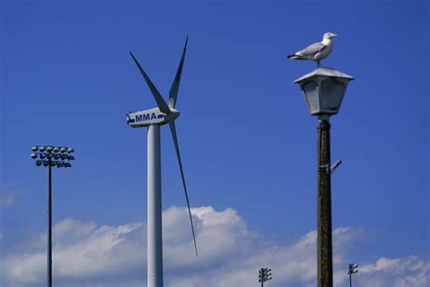 Healey looking for massive wind energy development bids