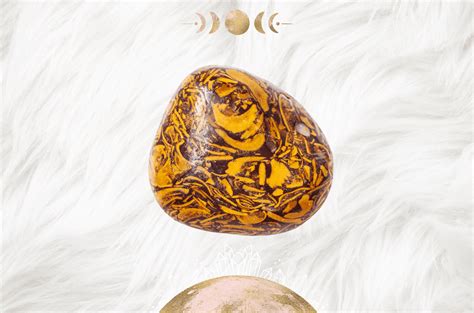 Healing Properties of Coquina Jasper: A Crystal for Hope