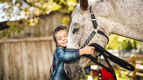 Healing With Horses - Help Children, Animals and your self