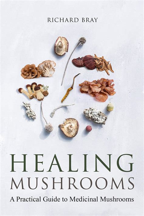 Healing with medicinal mushrooms a practical handbook. - Study guide for woodrow or colbert or smiths essentials of pharmacology for health professions 7th.