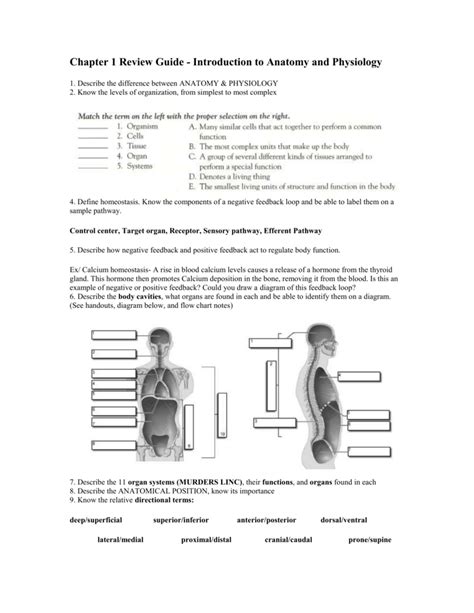 Health 1100 UVU 2024 Quiz Chapter 1 Flashcards Quizlet