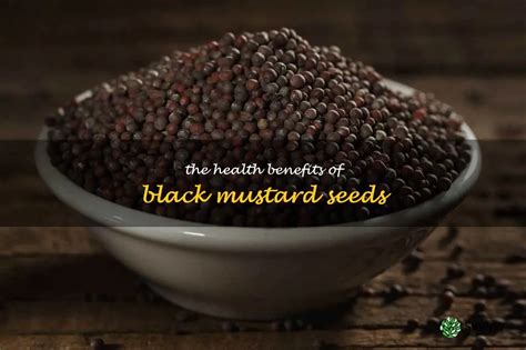 Health Benefits of Black Mustard Ayurvedic Homemade …