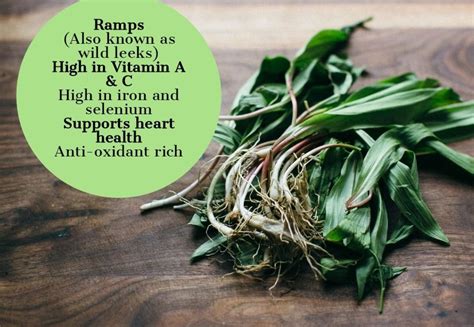Health benefits of ramps. Things To Know About Health benefits of ramps. 
