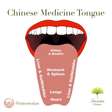 Health guide on the tip of the tongue chinese edition. - Manual yamaha super tenere xtz 750.