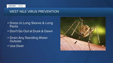 Health officials confirm West Nile death in Denver, it’s the 11th death statewide