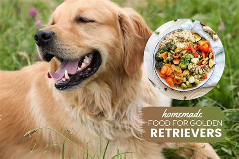 Healthiest Puppy Food For Golden Retriever