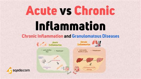 Healthy Basics 101: Acute Inflammation vs Chronic Inflammation