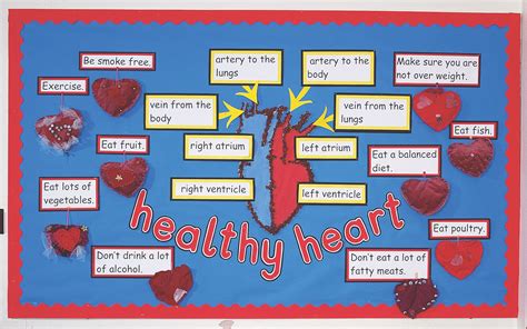 Healthy Heart Project Teaching Resources TPT