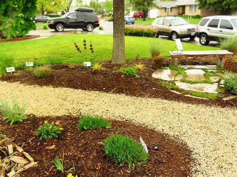 Healthy Plants Prefer Mulch