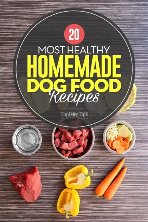 Healthy dog food recipes. 