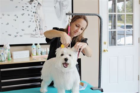 Healthy Hound Playground and Grooming Salon & Spa Pet Services 1 Taft Court Suite 101 Rockville MD 20850 (240) 328-6536 (240) 235-8605 Send Email Visit Rockville's Favorite Dog Daycare, Boarding Kennel & Grooming Spa Hours: Monday - Saturday: 7am to 7pm Sunday: 9am to 5pm Driving Directions:. 