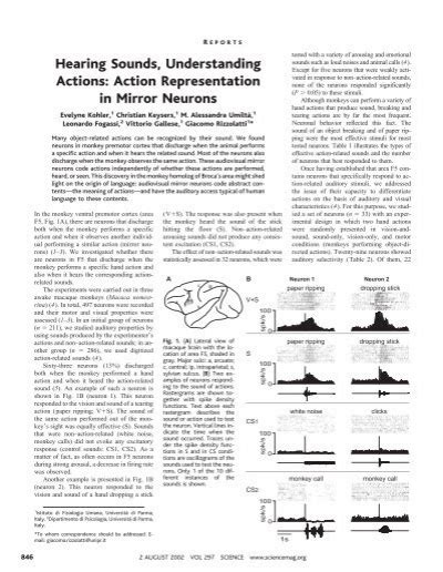 Hearing Sounds, Understanding Actions: Action Representation