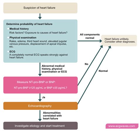 Heart Failure - Diagnostics