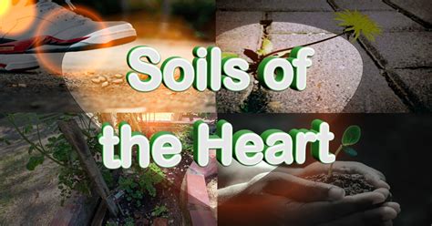 Heart and soil. Things To Know About Heart and soil. 
