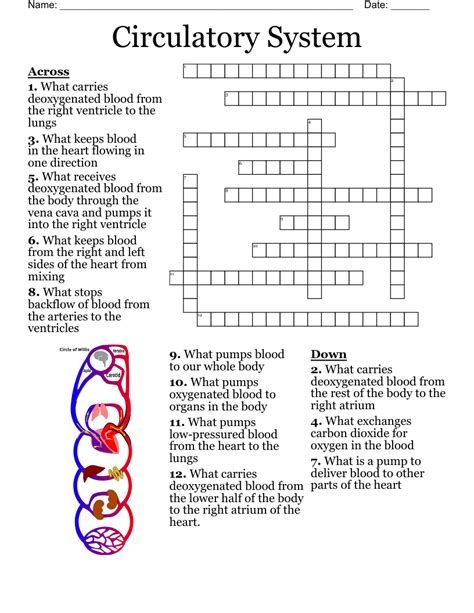 Heart and stomach crossword clue. stomach acid Crossword Clue. The Crossword Solver found 30 answers to "stomach acid", 3 letters crossword clue. The Crossword Solver finds answers to classic crosswords and cryptic crossword puzzles. Enter the length or pattern for better results. Click the answer to find similar crossword clues . Was the Clue Answered? "Take ___ empty stomach ... 