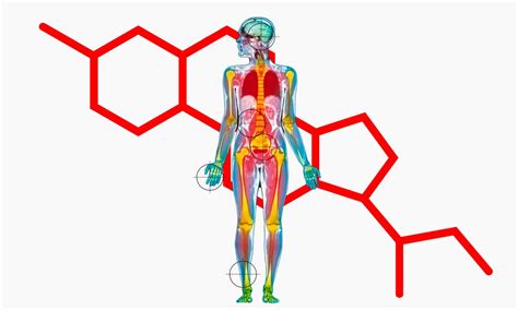 Heart racing, palms sweaty – what does stress do to the body?