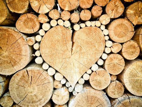 Heart wood. Find & Download Free Graphic Resources for Heart Wood. 99,000+ Vectors, Stock Photos & PSD files. Free for commercial use High Quality Images 