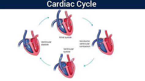 Heartbeat - Overview, News & Competitors ZoomInfo.com