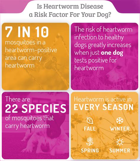 Heartworm FAQs lrgr