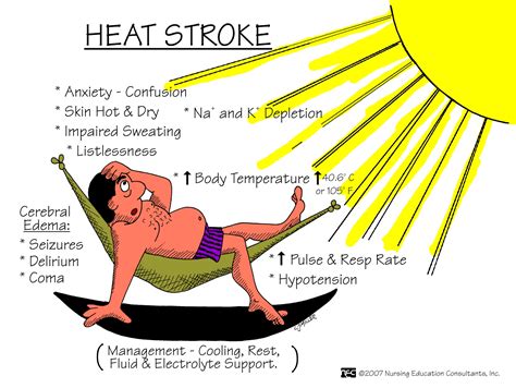 Heat Stroke & Heat Exhaustion: What to know to stay safe