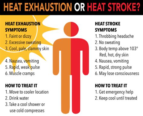 Heat stroke and heat exhaustion: What to know to stay safe