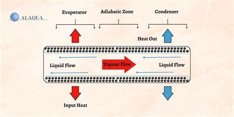 Heat transfer in LTV FF evaporator
