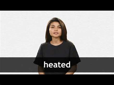 Heated exchange definition and meaning - Collins Dictionary