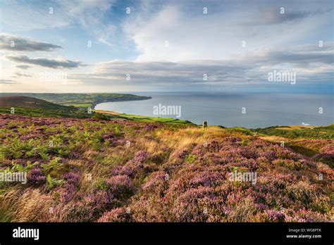 Heather gardens hi-res stock photography and images - Alamy