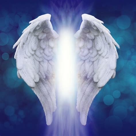 Heavenly wings. Things To Know About Heavenly wings. 