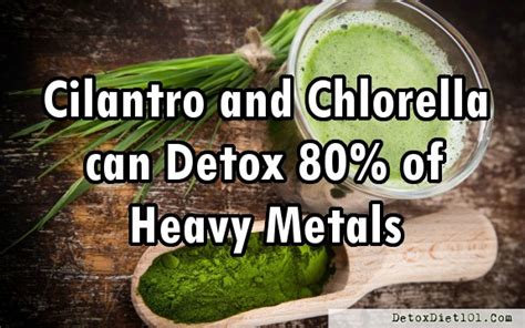 Heavy Metal Cleanse - Natural Candida Cleansing