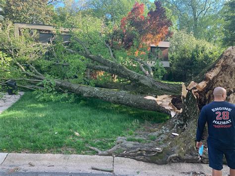 Heavy storms through DC area: ‘Blinding’ downpours, downed tree limbs