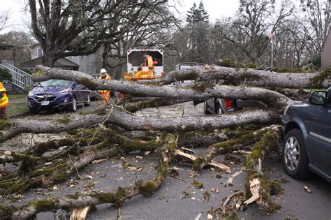 Heavy winds and scattered storms down trees, cut power across DC area