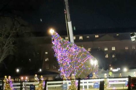 Heavy winds knock over Christmas tree in front of White House, but it’s back upright