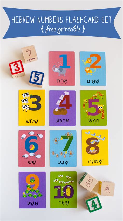 Hebrew Numbers Flashcard Printable Gus On The Go Language Learning Apps For Kids