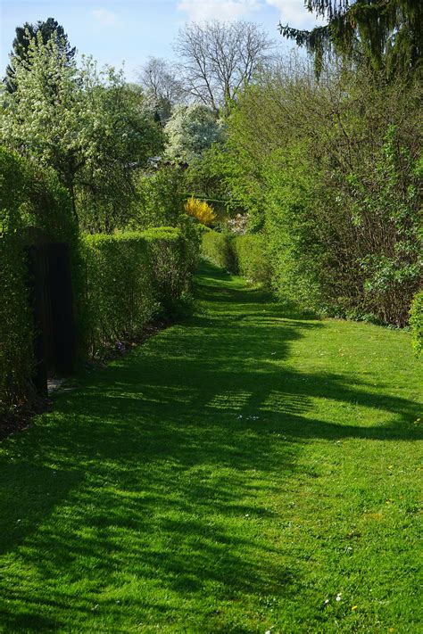 Hedge Exeter