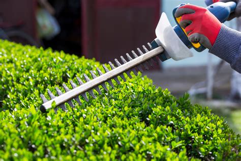 Hedge trimming. Keeping your blades sharp is essential for any job, from cutting wood to trimming hedges. But finding a reliable blade sharpening service near you can be a challenge. Here’s everyt... 