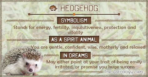 Hedgehog – Spirit Animal, Totem, Symbo…