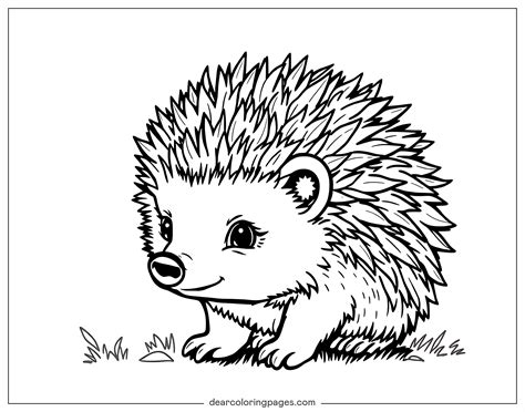 Hedgehog Coloring Shee