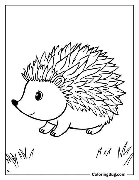 Starfish Coloring Page